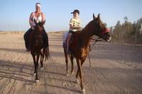 Two Hours Adventure Horse Riding In Hurghada 5