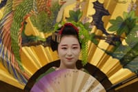 The Art of Geisha: Exclusive Show & Gion Walking Tour 9