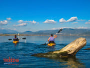 Canoeing Amvrakikos 3