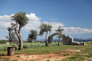Private Culinary Tour of Nin and Royal Vineyards from Zadar