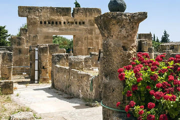 Day Trip from Tunis to Utique, Bizerte, and Ras Angela
