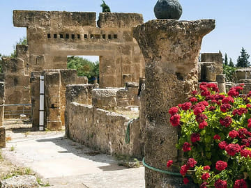 Day Trip from Tunis to Utique, Bizerte, and Ras Angela