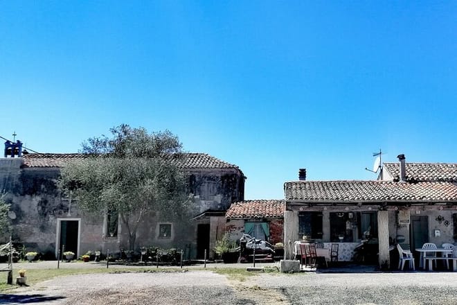 Venice Lagoon Bike & Birdwatching Tour: Flamingos in Lio Piccolo 9