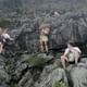 Ha Giang Car Tour - Highlight 2 Day Tou