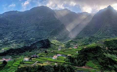 Funchal to Porto Moniz 4x4 Adventure Tour