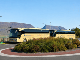 Golden Circle & Meet the Icelandic Horses | English Guide + Selected German Departures, photo 25