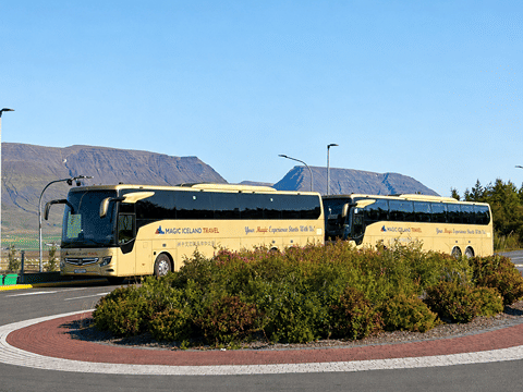 Golden Circle & Meet the Icelandic Horses | English Guide + Selected German Departures, photo 25