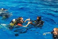 Side: Scuba Diving, Underwater Museum, 2 Dives incl. Lunch 5