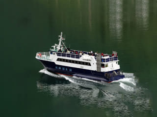 Whale & Marine Adventure Tour, photo 7