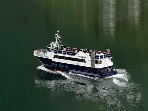 Whale & Marine Adventure Tour, photo 7