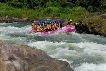 Bird Watching Tour in Colombo and Sri Lanka's Nature Spots