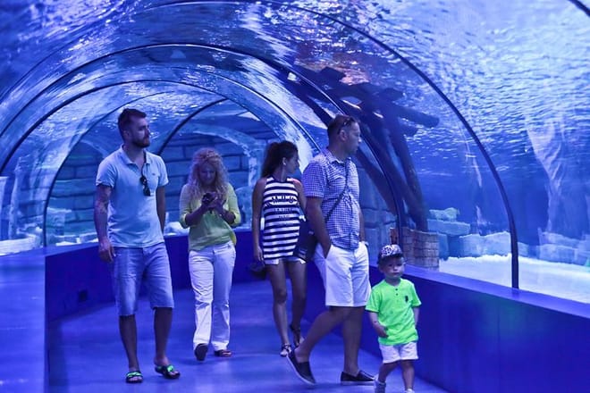 Antalya: Aquarium, Wax Museum & Combo Package Options 7