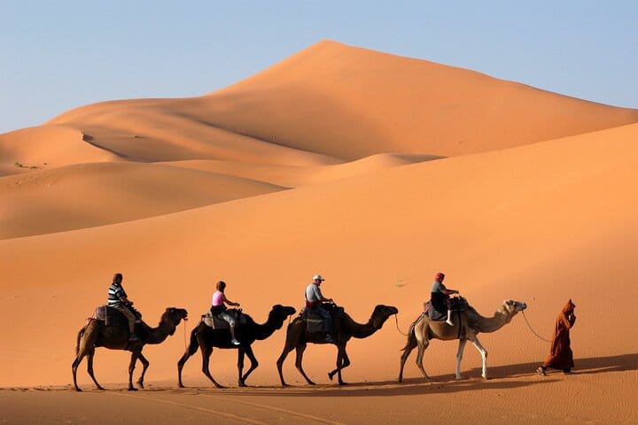 Camel Trekking In Abu Dhabi with Transfer, Fun and More 2