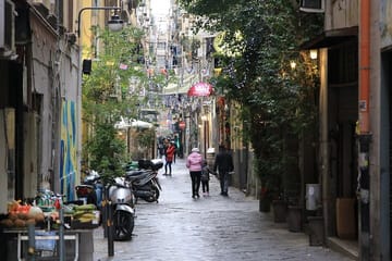 Private Walking Tour of Historic Naples Landmarks