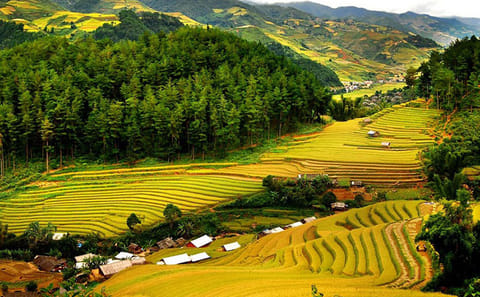 7-Day Northern Vietnam Adventure: Hiking & Culture Tour