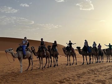 Camel Trekking and Overnight Stay in Erg Chebbi Desert from Erfoud