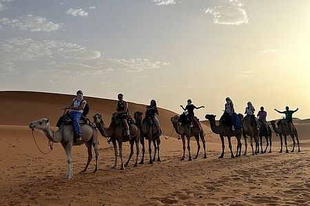 Camel Trekking Adventure in Erg Chebbi Desert with Sunset & Sunrise Views