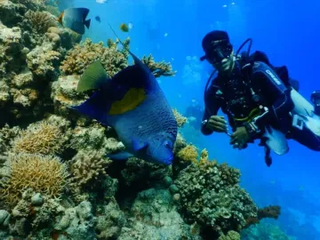 Tauchausflug in Hurghada