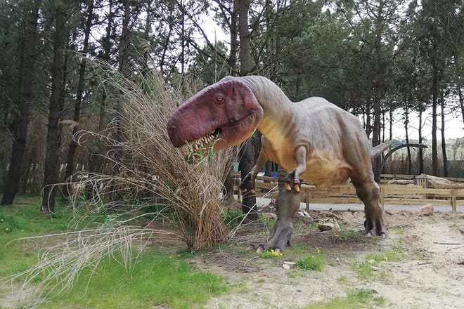 Perfect for Children! Jurassic Park Private Tour 9