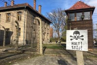 Auschwitz-Birkenau Day Tour from Wroclaw  5
