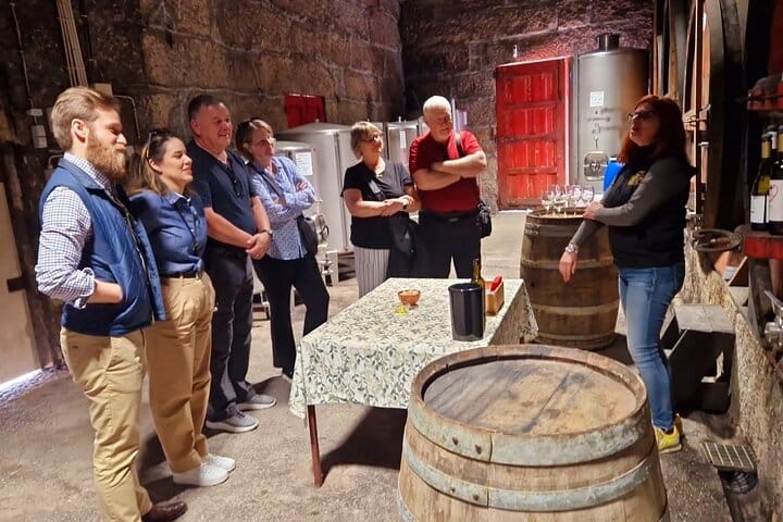 DOURO VALLEY: Premium Wine Tour, Lunch at Winery & Private Cruise
