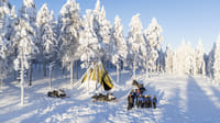 Snowmobile Driving Experience - Rovaniemi 9