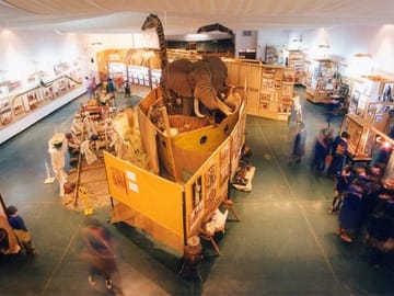 Half-Day Tour of Nairobi National Museum and Snake Park