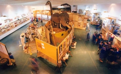 Half-Day Tour of Nairobi National Museum and Snake Park