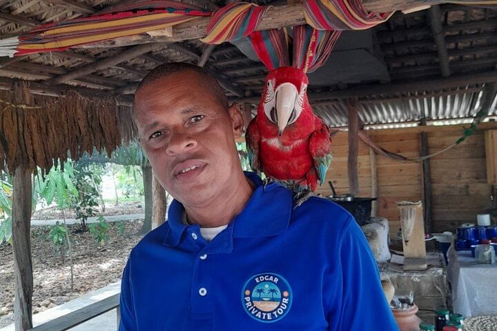 Damajagua Waterfalls and Monkey Private Van Tour