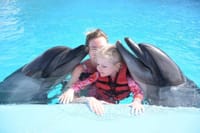 Premium 5 Minutes Dolphin Swimming Experience - Hurghada 3