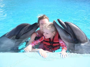 Premium 5 Minutes Dolphin Swimming Experience – Hurghada