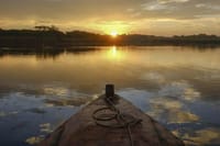 Day Tour Between Mangroves, Fishing & Black Sand Beach Activities + Lunch 7