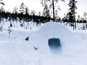 Building a Snow Igloo