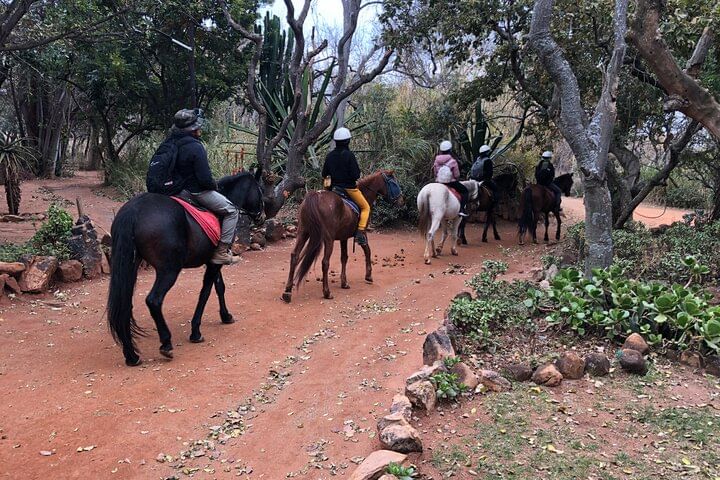Group enjoying eco-friendly Horse Safari Johannesburg tour near wildlife reserve