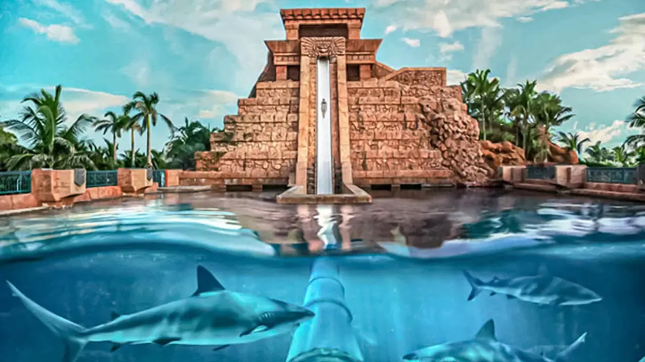 The Ziggurat tower with the near-vertical Leap of Faith slide down its face, seen in a split-level shot with sharks swimming in the lagoon below the waterline at Aquaventure Waterpark