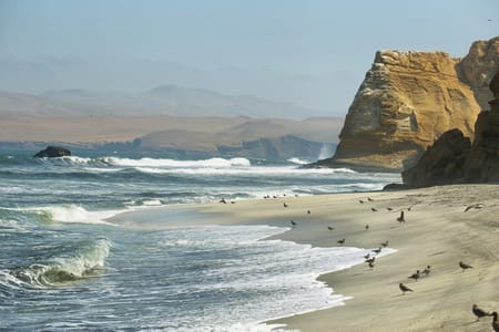 Paracas National Reserve Adventure: Explore Stunning Beaches & Wildlife