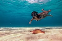 Discover Cozumel's Reef: Glass-bottom Boat Snorkeling Adventure 2
