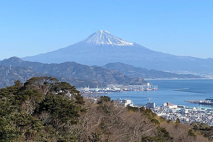 Private sightseeing tour from Shimizu Port / Van Taxi