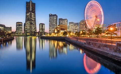 Tokyo: Yokohama Day and Night Tour with English Speaking Driver
