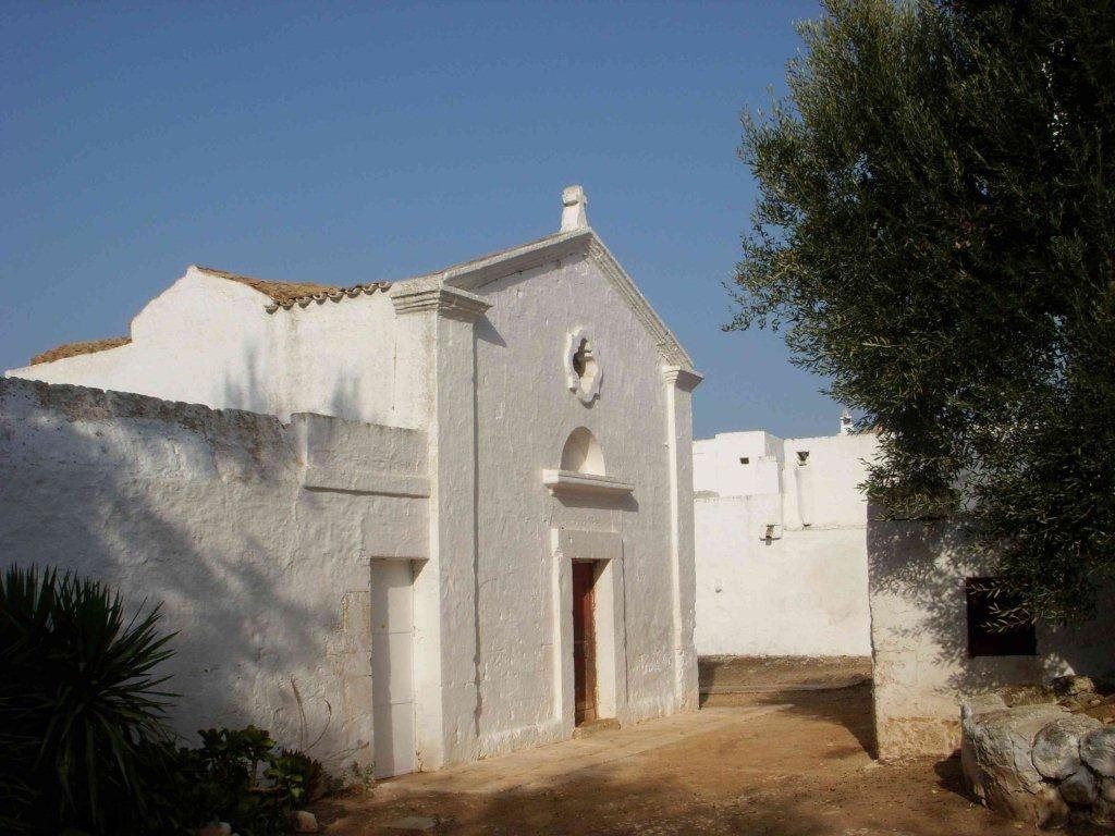 Extra-Virgin Olive Oil Tasting in a Farmhouse