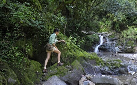 4x4 Adventure Tour of Yungas and El Rey National Park from Salta