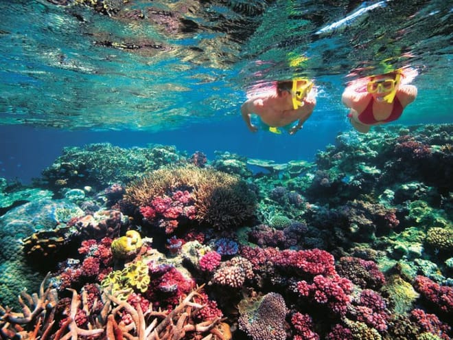Snorkeling Day Trip & Island Tour to Nusa Lembongan & Penida photo 6