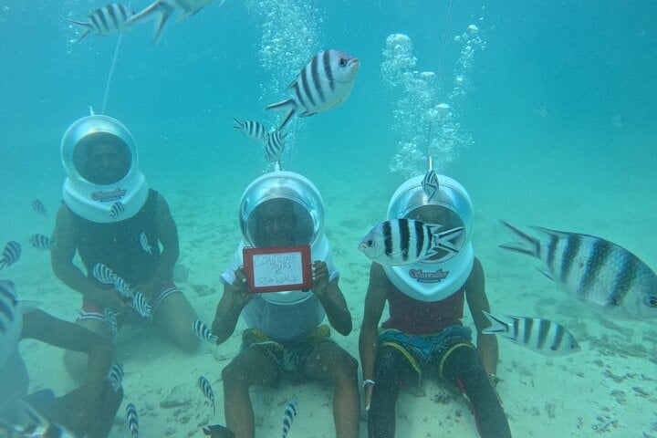 Zanzibar Under Water Sea Walk 5