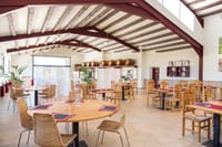 Viticulture and Wine-Tasting 3-Hour Trip from Barcelona 8