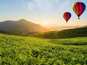 Hot Air Ballooning Day Tour