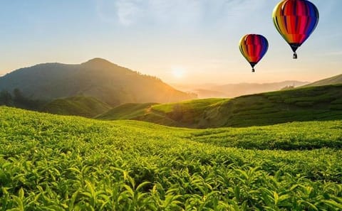 Hot Air Ballooning Day Tour