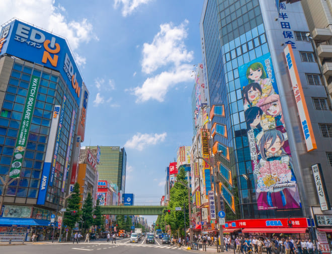 Half Day Akihabara Anime Guided Walking Tour