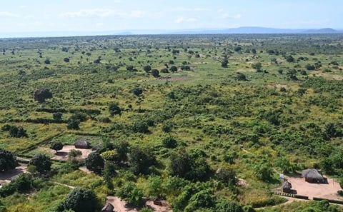 Upemba National Park Safari Expedition – Congo Basin Wetlands & Wildlife Adventure