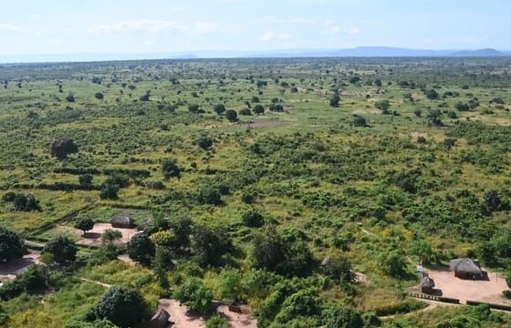 Upemba National Park Safari Expedition – Congo Basin Wetlands & Wildlife Adventure