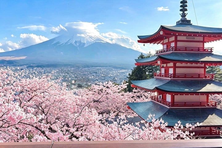 Mt. Fuji,Saiko Iyashi-no-Sato Nenba&Kawaguchi Lake 7